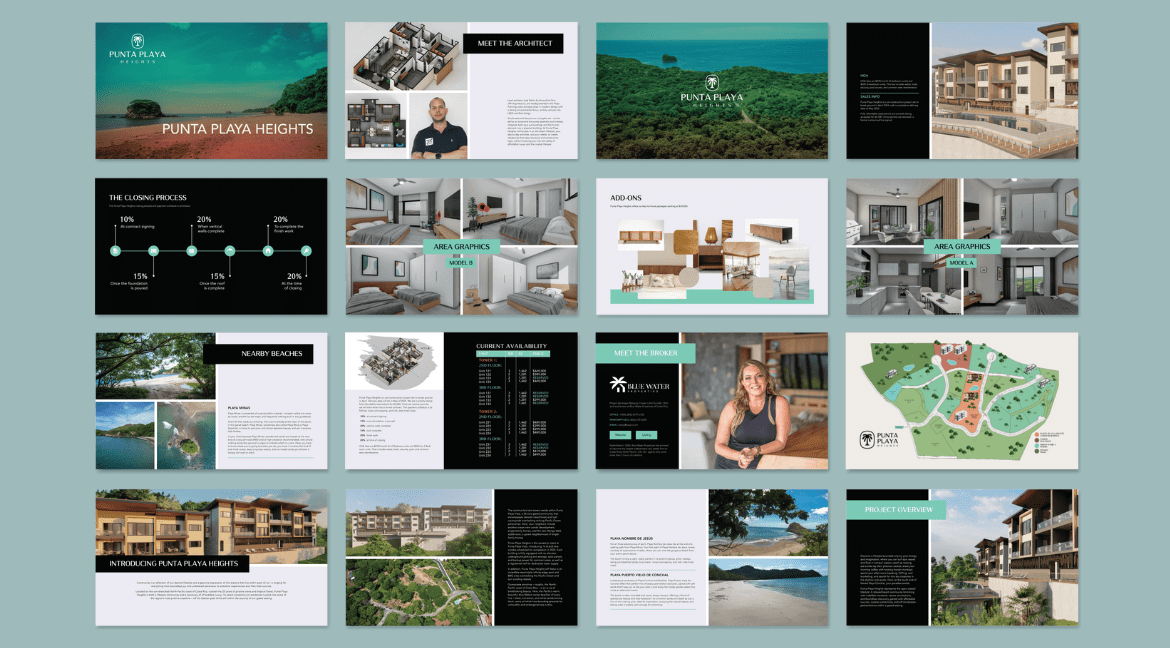 4.Real Estate Developer